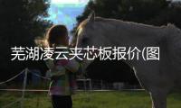 芜湖凌云夹芯板报价(图)