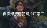 自贡焊接钢筋网片厂家厂商