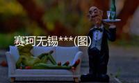 赛珂无锡***(图)