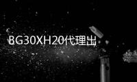 BG30XH20代理出售PA6德国朗盛BG30XH20