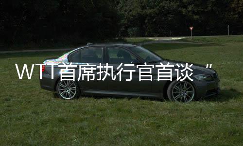 WTT首席执行官首谈“刘国梁卸任”与“运动员健康”