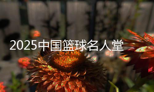 2025中国篮球名人堂提名名单公布 北京奥运中国男篮在列