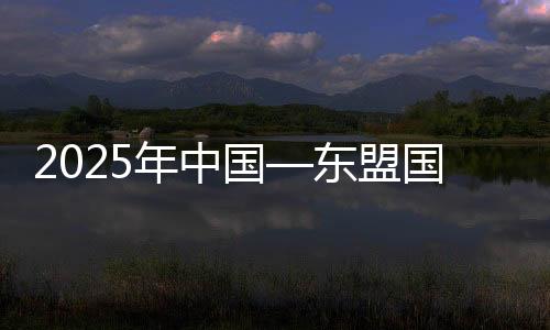 2025年中国—东盟国际龙舟公开赛在广西藤县举行